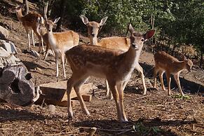 REGIOHOTEL Schanzenhaus Wernigerode