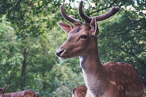 REGIOHOTEL Schanzenhaus Wernigerode