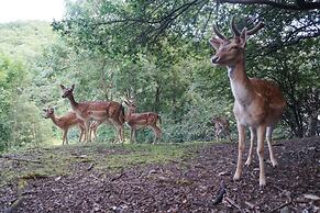 REGIOHOTEL Schanzenhaus Wernigerode