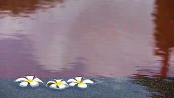 The Houben - Adult Only