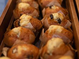 Novotel Brussels Centre Midi Station