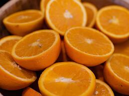 Novotel Brussels Centre Midi Station