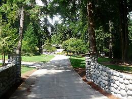 Maple View Bed and Breakfast