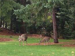 Maple View Bed and Breakfast