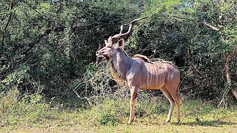 Maputaland Guest House