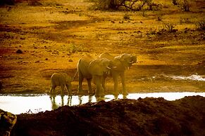 Kilaguni Serena Safari Lodge