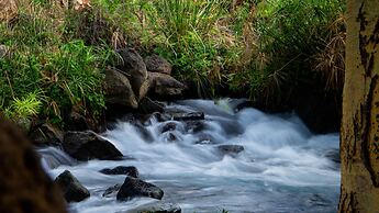 Kilaguni Serena Safari Lodge