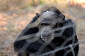 Sweetwaters Serena Camp