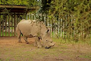 Sweetwaters Serena Camp