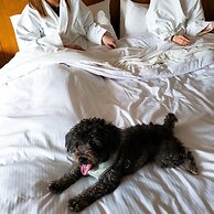 The Westin Austin at The Domain