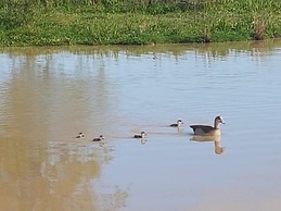 Hoopenburg Guesthouse