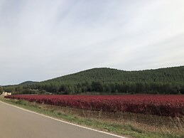 Hotel Rural El Molí