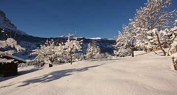 Belvedere Swiss Quality Hotel