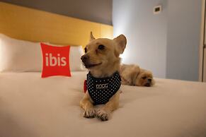 ibis Chihuahua