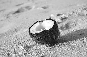 Le Domaine de L'Orangeraie