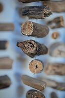 Le Domaine de L'Orangeraie