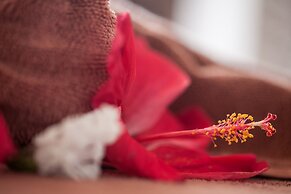 Le Domaine de L'Orangeraie