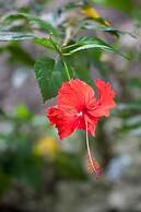 Le Domaine de L'Orangeraie