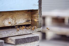 Scandic Berlin Potsdamer Platz