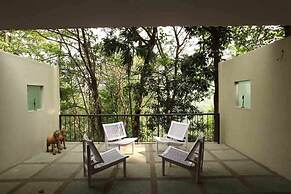 Rainforest Boutique Resort