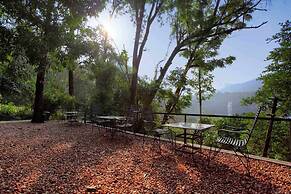 Rainforest Boutique Resort