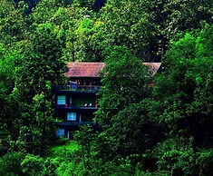 Rainforest Boutique Resort