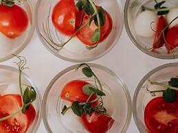 Der Schlosswirt zu Anif - Biedermeier-Hotel und Restaurant