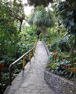 Aguila de Osa Rainforest & Marine Adventure Lodge