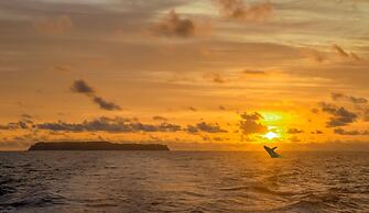 Aguila de Osa Rainforest & Marine Adventure Lodge