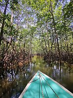 Aguila de Osa Rainforest & Marine Adventure Lodge