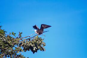Aguila de Osa Rainforest & Marine Adventure Lodge