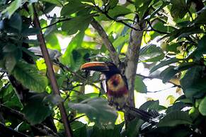 Aguila de Osa Rainforest & Marine Adventure Lodge