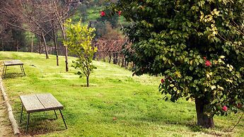 Douro Palace Hotel Resort and Spa