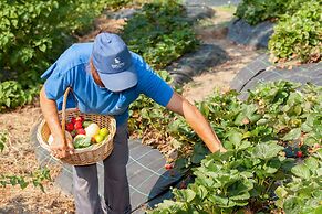 Douro Palace Hotel Resort and Spa