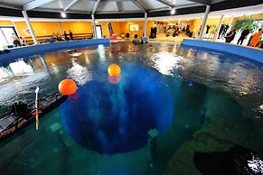 Friendly City Hotel Oktopus