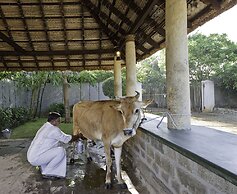 Halez Sparsa Thiruvannamalai