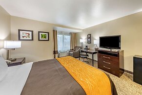 Comfort Inn And Suites Colton