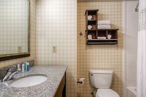 Hampton Inn & Suites Detroit / Airport - Romulus