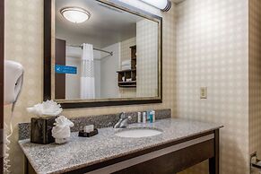 Hampton Inn & Suites Detroit / Airport - Romulus
