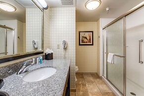 Hampton Inn & Suites Detroit / Airport - Romulus