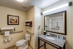 Hampton Inn & Suites Detroit / Airport - Romulus