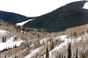 Four Seasons Resort Vail