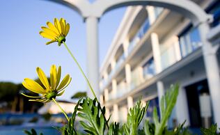 Masd Mediterráneo Hotel & Apartamentos