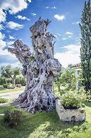 Villas Resort Wellness & SPA