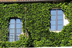 Rectoral de Cobres 1729