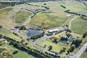 Turners Vineyard