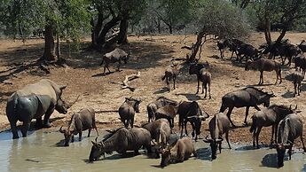 Bushwillow Collection