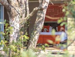 Bushwillow Collection