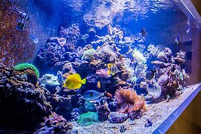 Hotel & Medi-SPA Bialy Kamien