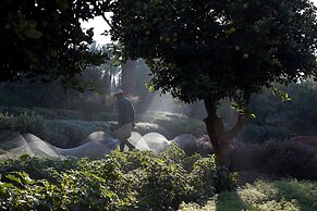 Royal Mansour Marrakech